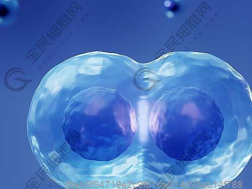 做ct平掃檢查出來肺部有東西